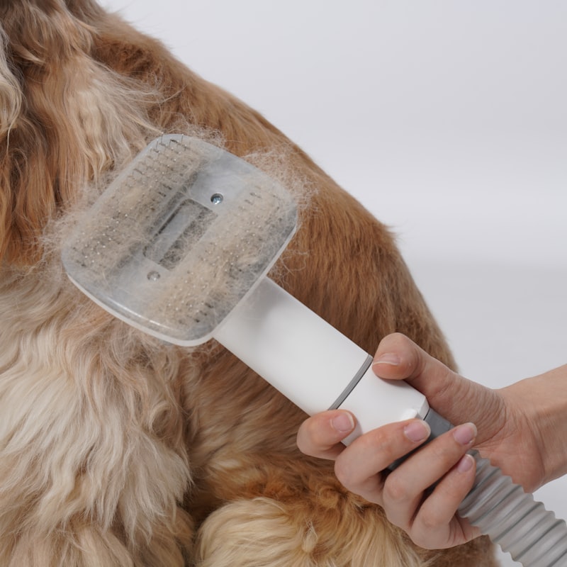 Five-finger dog grooming glove with rubber tips for gentle deshedding and massage