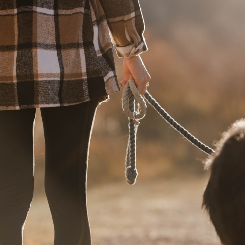 Retractable dog leash with ergonomic handle, lock button, and 5-metre cord